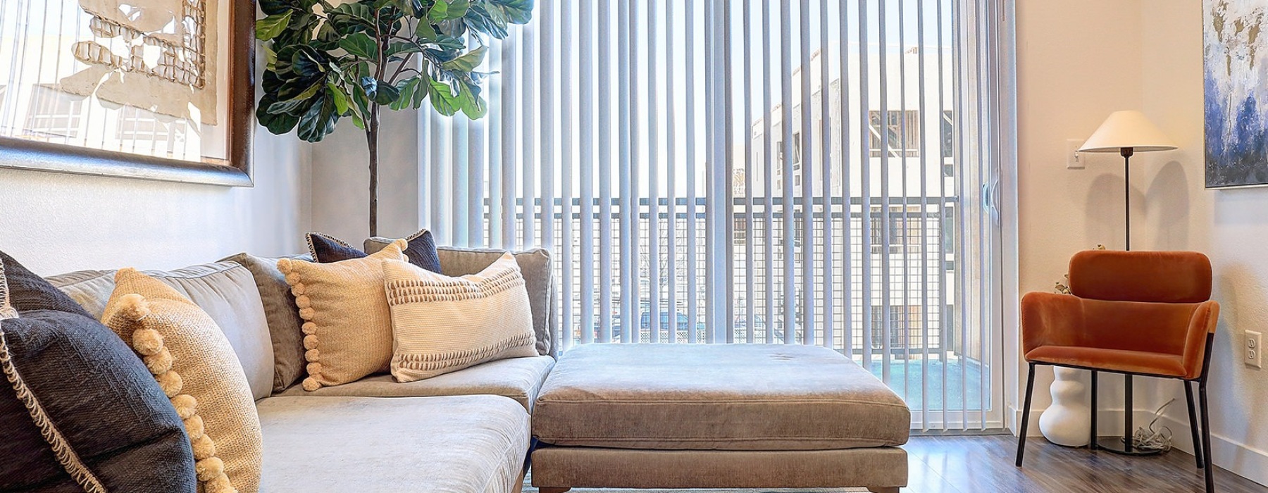 studio apartment in lakewood co